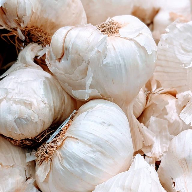 Fresh Garlic Direct From Farm Fresh Garlic With Exceptional Flavor And Excellent Quality For Large Orders - Image 4