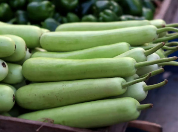 Fresh Bottle Gourd - Image 2