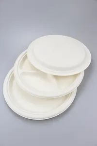 Disposable Bagasse Plate Biodegradable Compostable Sugarcane Tableware Plate - Image 5