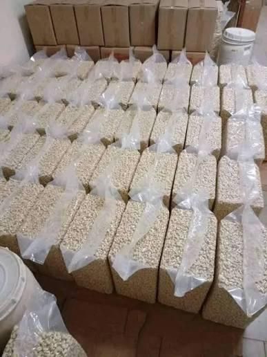 Factory-Dried Kaju Raw Cashew Nut Kernels WW240 WW320 WW450 Pistachio & Pine Nuts for Food - Image 2