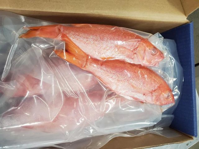 Frozen Red Snapper Fish Fillets Skin-On and Scale-Off Boneless Ruby Snapper Vacuum Pack Low-Carb - Image 3