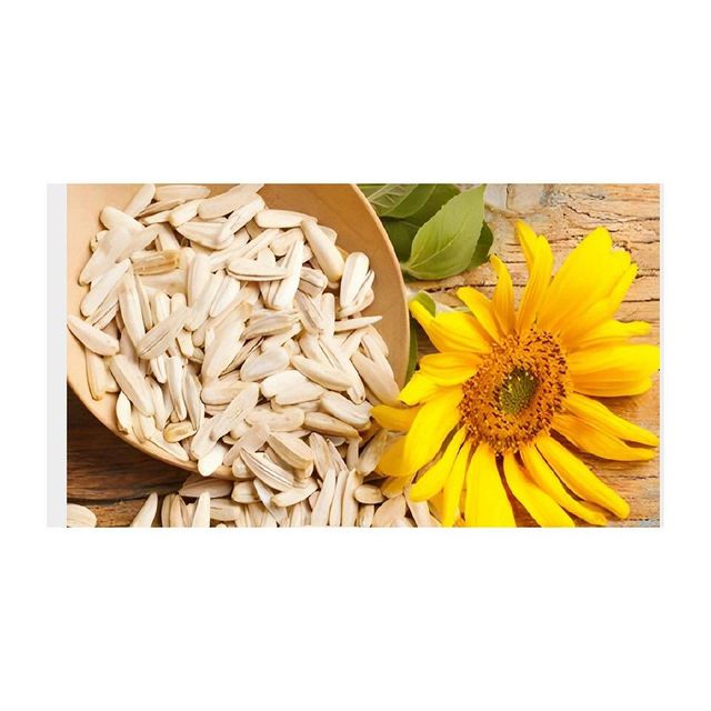 Low price Sunflower Seeds bulk supply wholesale high nutrition export ready Wholesale Sunflower Seeds - Image 5
