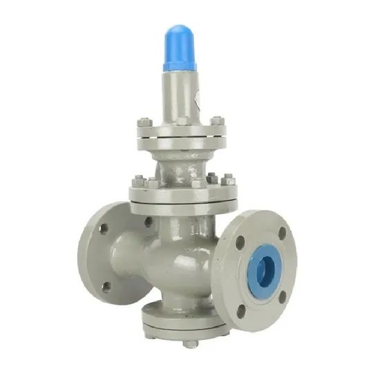 Prv1000 Piston Steam Valve Stainless Steel Flange Single Seat 1Y CCC - Image 3