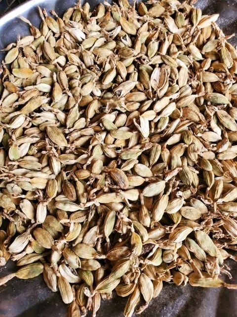 Cardamom - Image 2