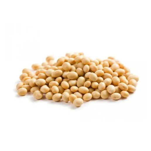Non Gmo Soybeans / Soya Beans, Soy bean Seeds and Soya bean Seeds - Image 4