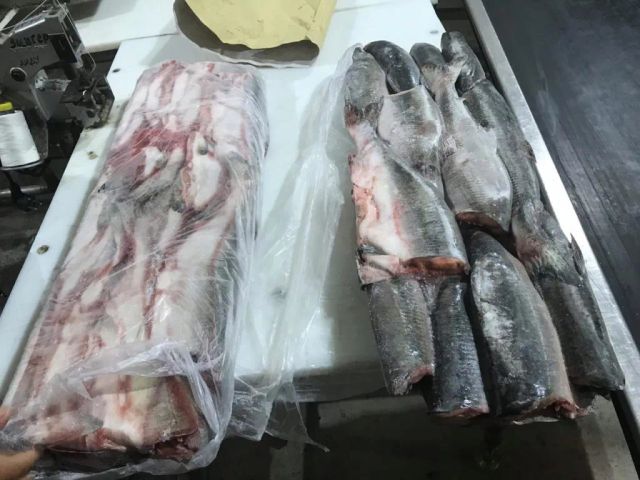 Pink salmon - Image 1