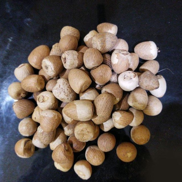 Whole Kernel Betel Nuts Available With Authentic Origin And Clean Processing For Global Importers - Image 3