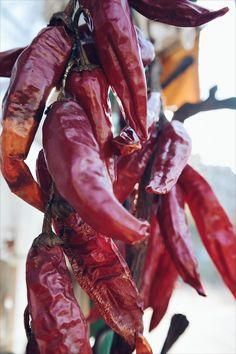Dried Red Chilli - Image 1