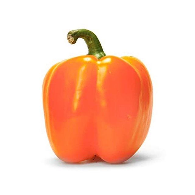 Bell Pepper Fresh High Quality Bulk Supply for Wholesale - Image 2