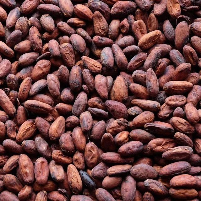 High grade Cocoa bean offered in bulk Cocoa bean directly sourced for international buyers with great taste - Image 4