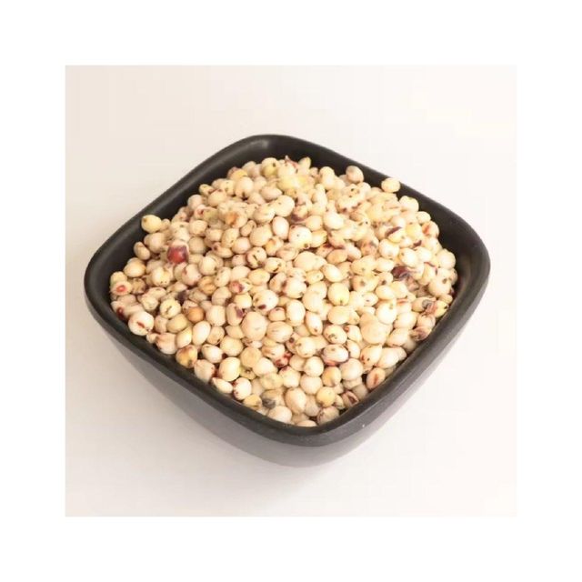 Sorghum grains with high nutritional value suitable for processing and milling - Image 3