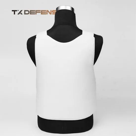 Customized Hot Sale Molle System Vests Nylon Tactical Training Plate Carrier Vests - Image 4