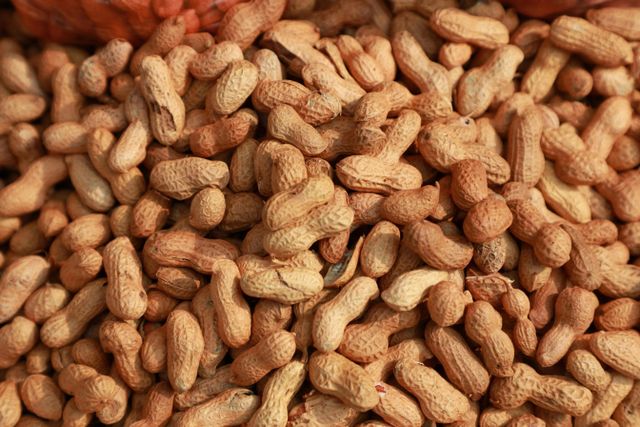 Peanuts Shelled Kernels For Nutritious Snacks Bakery Recipes Confectionery Production And Everyday Food Preparation - Image 4