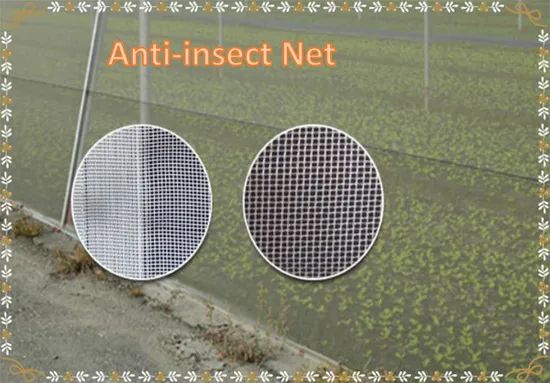 Agricultural Mosquito Anti- Insect Net Insect Protection Net Color White Material PE Trademark WM Origin China Length 10m-100m - Image 2