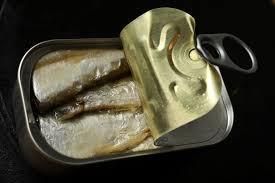 Canned Sardine / Tuna – Premium Quality Seafood Grade A Type - Image 1
