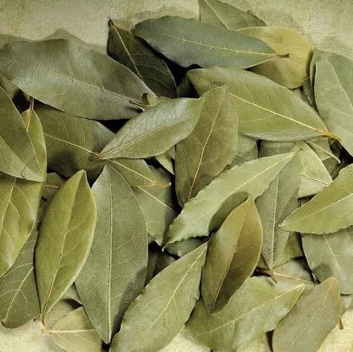 Bay Leaf - Image 1