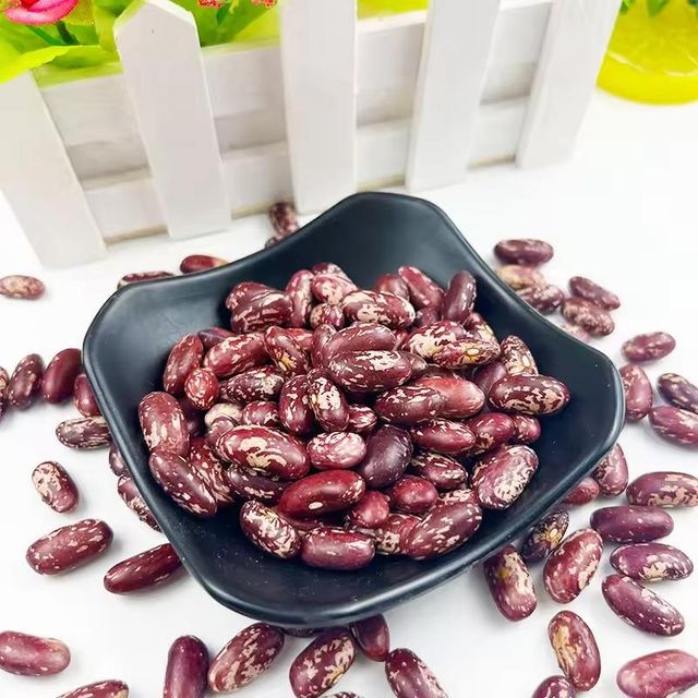 Natural Red Speckled Beans Raw Whole Seeds Clean Fresh Premium Quality High Protein Perfect For Healthy Meals Cooking And Industrial Food Use Buy Today Fast Delivery Premium Quality Wholesale - Image 3