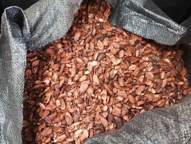 Cocoa Shells - Image 3