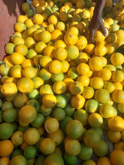 Orange Valencia Flavor Sweet Texture Smooth Weight (kg) 4Kg Juice Content High Type OrangeValencia Packaging Packed by carton - Image 3