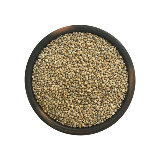 High purity pearl millet bulk order clean bajra export grade - Image 3