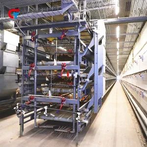 Factory Price Automatic Good Quality Chicken Cage Poultry Feeding Equipment - Image 4