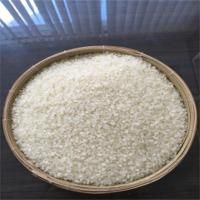 Rice - Image 1