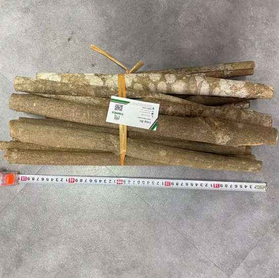 Whole Tube Cinnamon Roll Box Packaging Large Volume Bulk Wholesale/ Global Importers/ Affordable Price - Image 3
