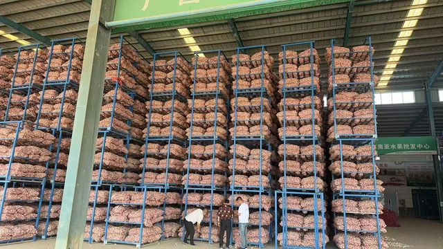 Fresh Vegetables Certifications Haccp, Iso Supply Stability Year-round Packaging Options 5kg/10kg Boxes, Mesh Bags Customization Support Oem Or Private-label - Image 5