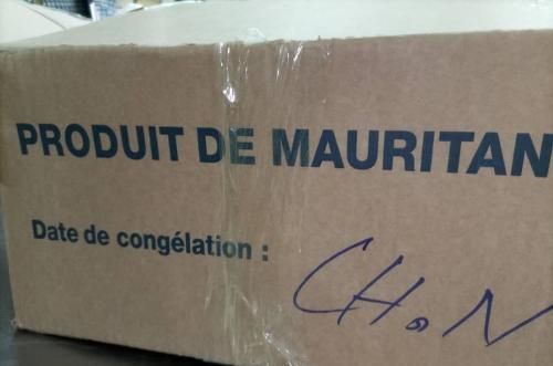 MAURITANIA FISH - Image 1