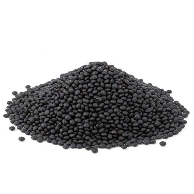 Premium Black Lentils With High Quality And Rich Protein Black Lentils For Wholesale Buyers And Bulk Purchase - Image 4