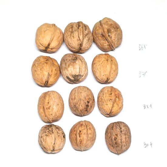 2024 New Crop Walnut, Fresh Walnut Additive-Free Walnut, Walnut Big Kernels Unshelled Walnut - Image 4
