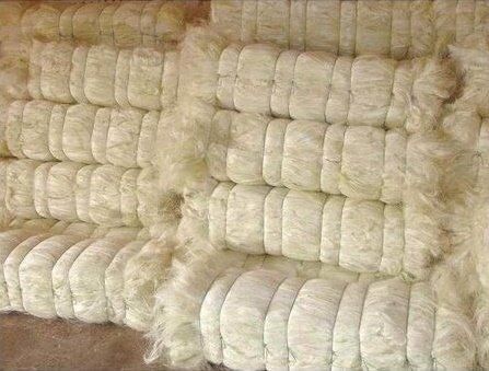 Natural Sisal Fibre - 110-130cm Length White and Cream Colors | Grade A Purity 98-99.5% Eco-Friendly - Image 3