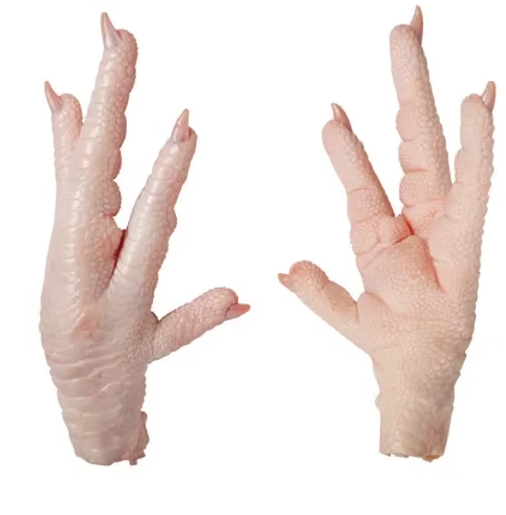 Wholesale Supplier of Natural Quality Halal Frozen Chicken Feet | Frozen Chicken Paws Bulk Quantity Ready For Export - Image 4
