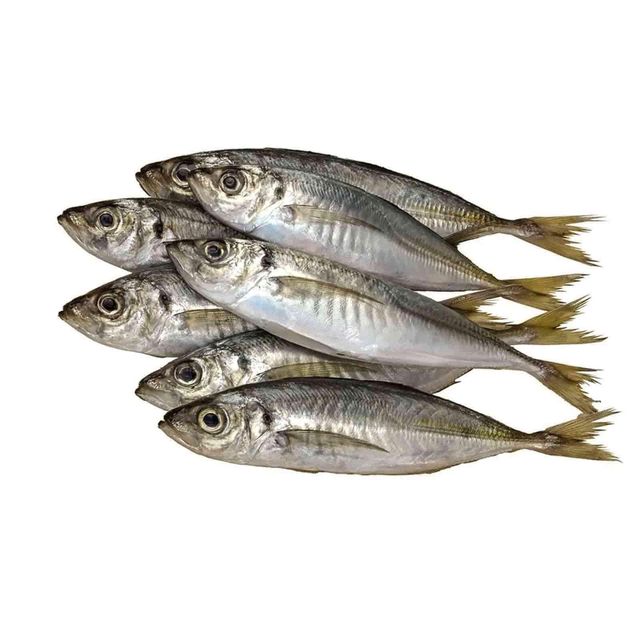 Atlantic Mackerel Frozen Seafood Healthy Nutritious Fish Perfect for Restaurants Supermarkets and Export - Image 3