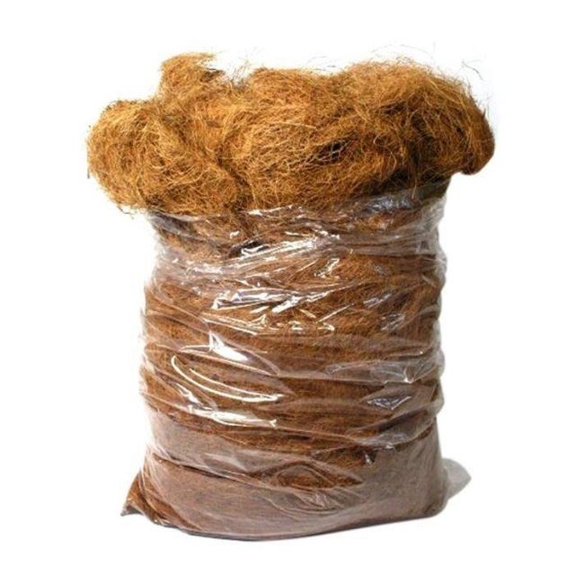 Wholesale Natural Palm Fiber / Sisal Fiber / Coconut Fiber for sale - Image 4