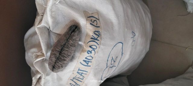 Dried Sea cucumbers - Image 10