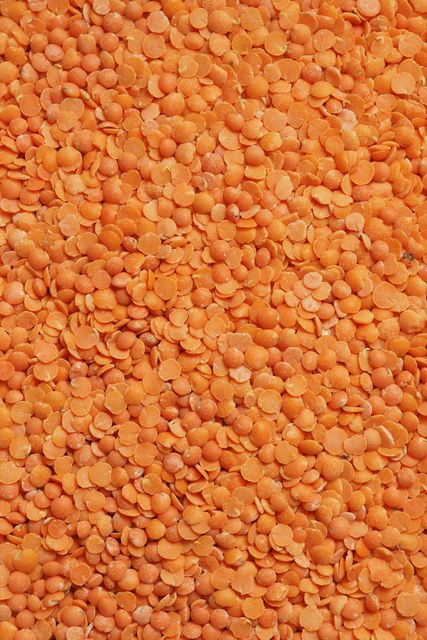 Split Red Lentils (Masoor Dal) - Image 5