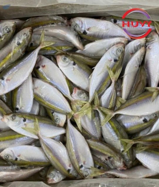 Frozen Yellowstripe Scad Fish, 1 - Image 1