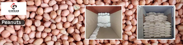 Indian Bold Peanuts, Java Peanuts, TJ Peanuts, Blanched Peanuts All Count 38/42 to 70/80 - Image 2