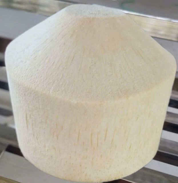 Fresh Young Coconut - Image 3