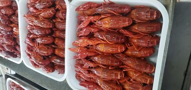 Frozen Crayfish Whole Cleaned Seafood Product Prepared For Bulk Export Supply And International Buyer Demand - Image 3