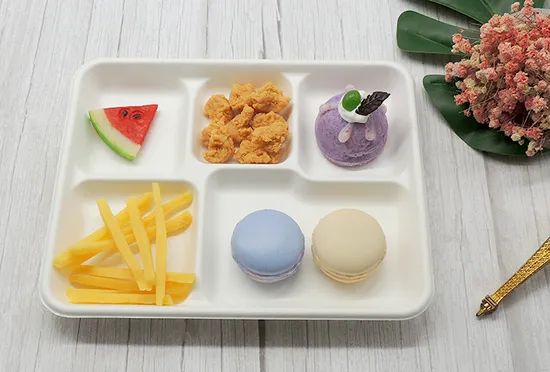 Hot Sale Rectangle 5-Compartment Plates Sugarcane Bagasse Food Tray - Image 4