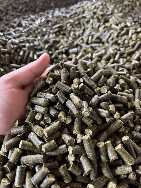 Hemp pellets for feed production Fat Content 8-10 % Ash Content 20-21 % Country Of Origin Eu Fiber Content 40-44 % Moisture Content <8 % - Image 1