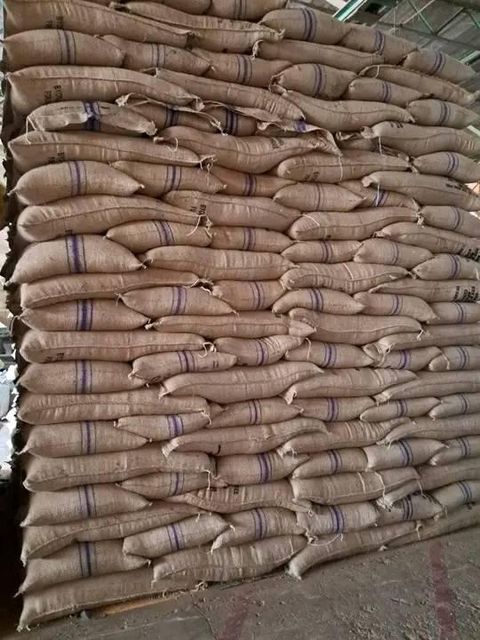 Size 16 Robusta Vietnam Origin Green Coffee Beans A 60kg A Plus 95 To 99% Purity Bulk Bags High Quality - Image 4