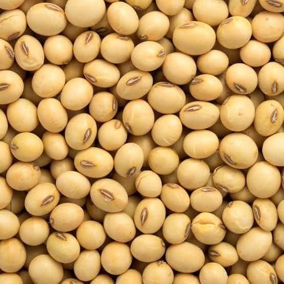 Non GMO Soybeans from Dependable Supplier High protein yellow soybean soya beans / Non gmo Soybeans WHATSAP +255787979235 - Image 6