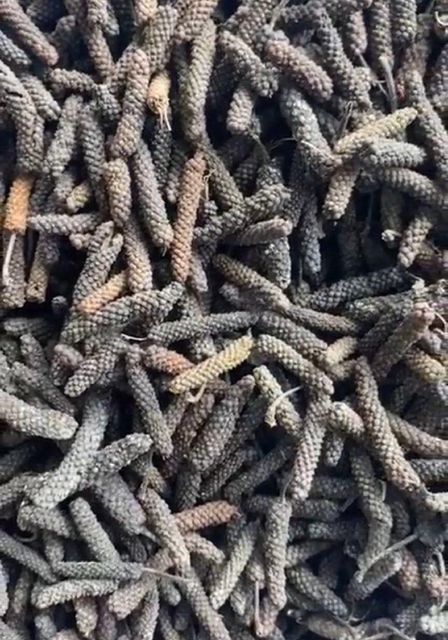 Long Pepper Origin Indonesia (java) Packaging Boxes Of 5 Kilograms Moisture Content Less Than - Image 3