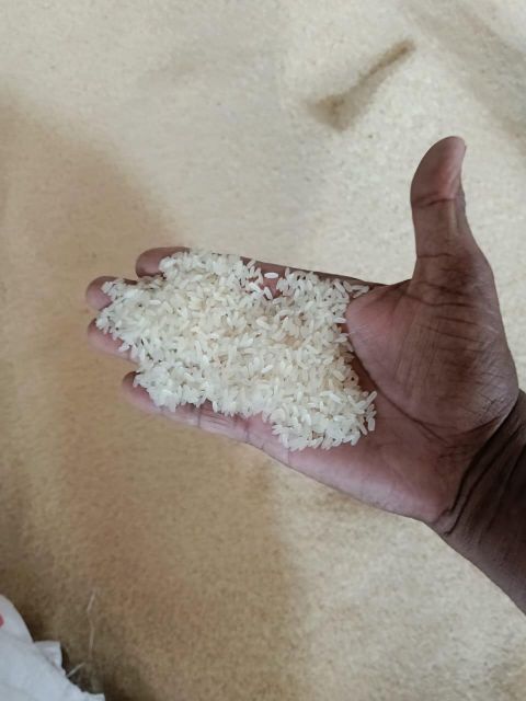 IR 64 Paraboiled rice and raw rice - Image 3