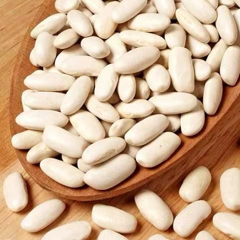 White Kidney Beans Long Shape - Image 2