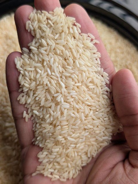 Organic Sona Masoori Rice - Premium quality - Image 2