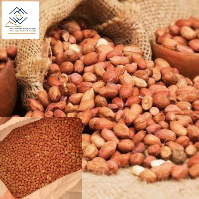 Premium Grade Sudanese Raw Groundnuts In-Shell and Shelled Bold Peanuts - Image 1